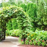 pergola w ogrodzie